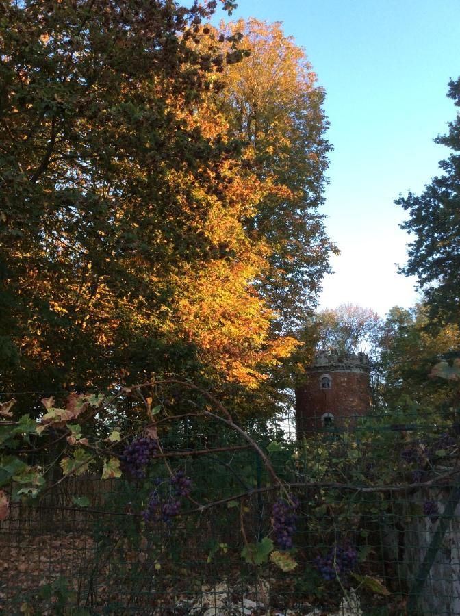 L'Orme Des Voyageurs Bed & Breakfast Boutigny Екстериор снимка